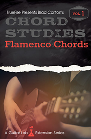 Chord Studies Flamenco Chords Vol. 1 DVD